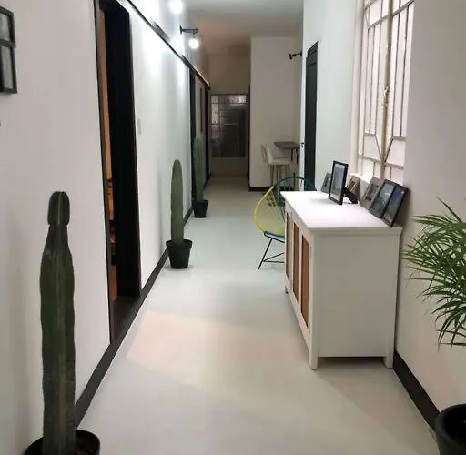 C1 En Condesa Amsterdam Habitación en casa particular *